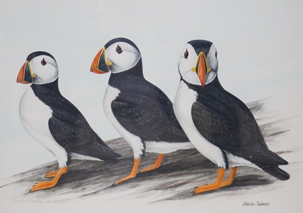 Martin Salmon (20th. C), watercolour, Study of puffins, together with, Jackie Gethin, watercolour, Study of a rabbit, each signed, largest 19 x 27cm. Condition - good